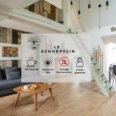 Le Schoepflin - Coeur De Strasbourg - Vue Toits Exterior foto
