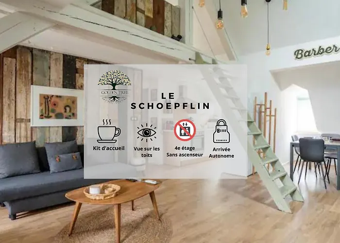 Le Schoepflin - Coeur De Strasbourg - Vue Toits