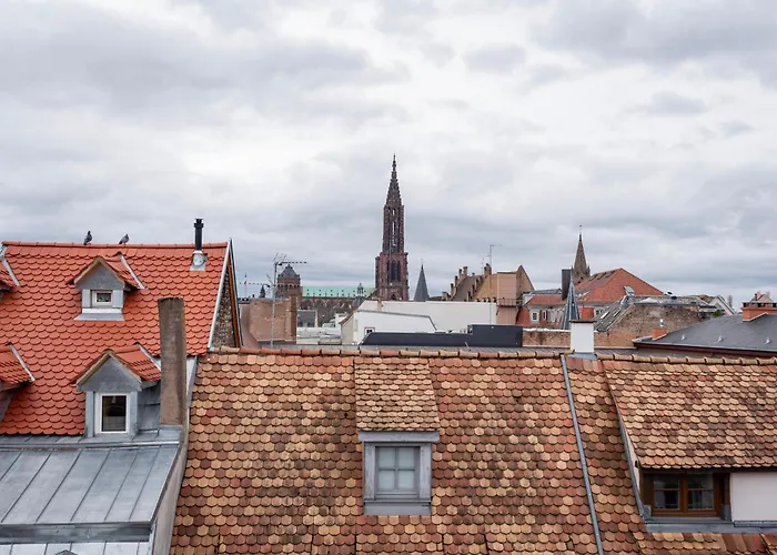 Le Schoepflin - Coeur De Strasbourg - Vue Toits